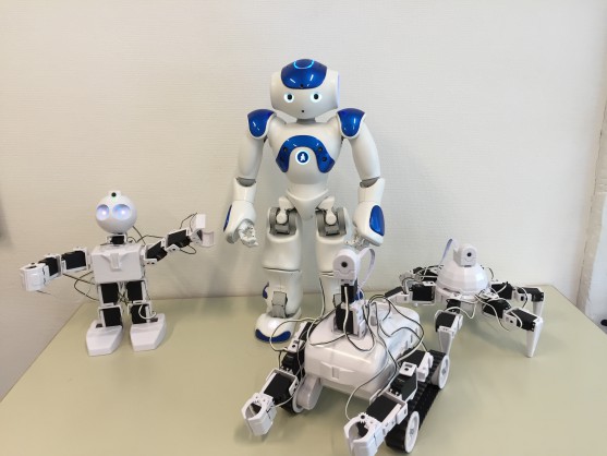 Fritidshold robotprogrammering billede